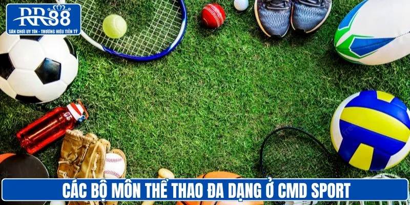 Sảnh chơi cung cấp đa dạng các bộ môn thể thao
